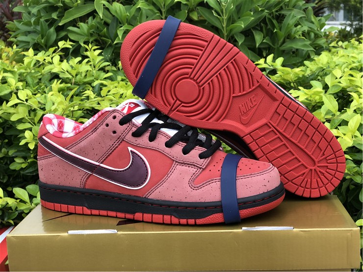 from Nike SB Dunk Low Sb Lobster 313170-661