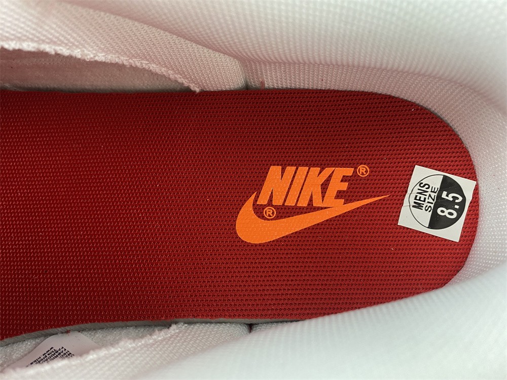 from NIKE DUNK LOW RETRO DD1391-600