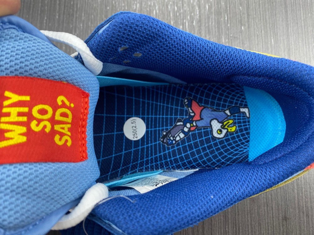 from SB Dunk Low Pro SB Decon Why SO Sad DX5549-400