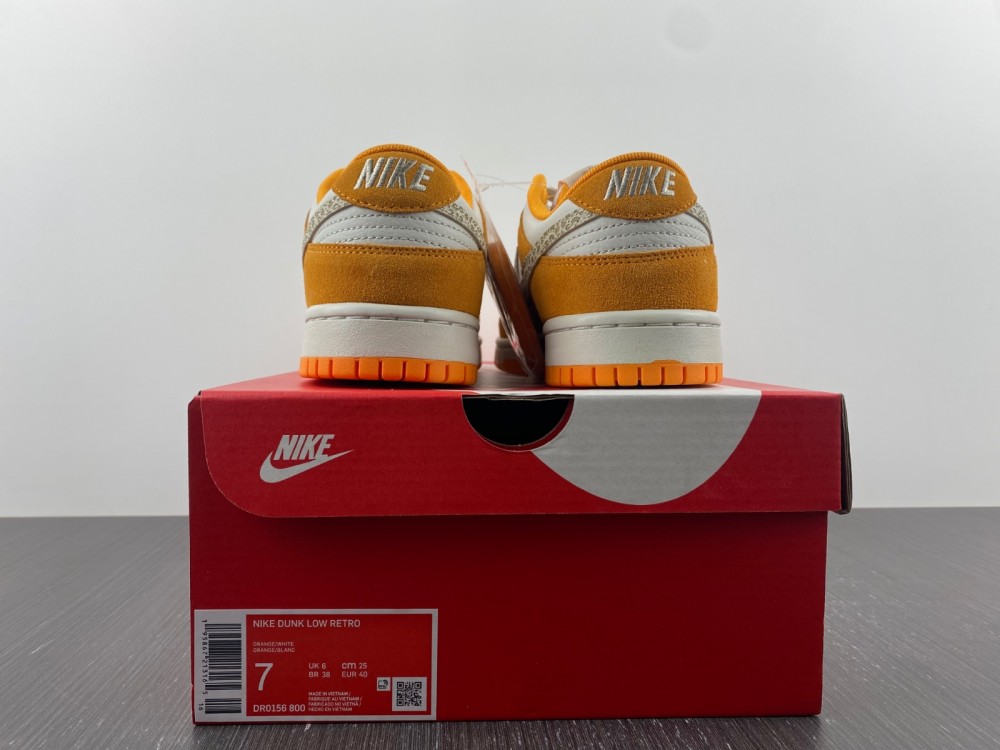 from Nike SB Dunk Low Safari Swoosh DR0156-800