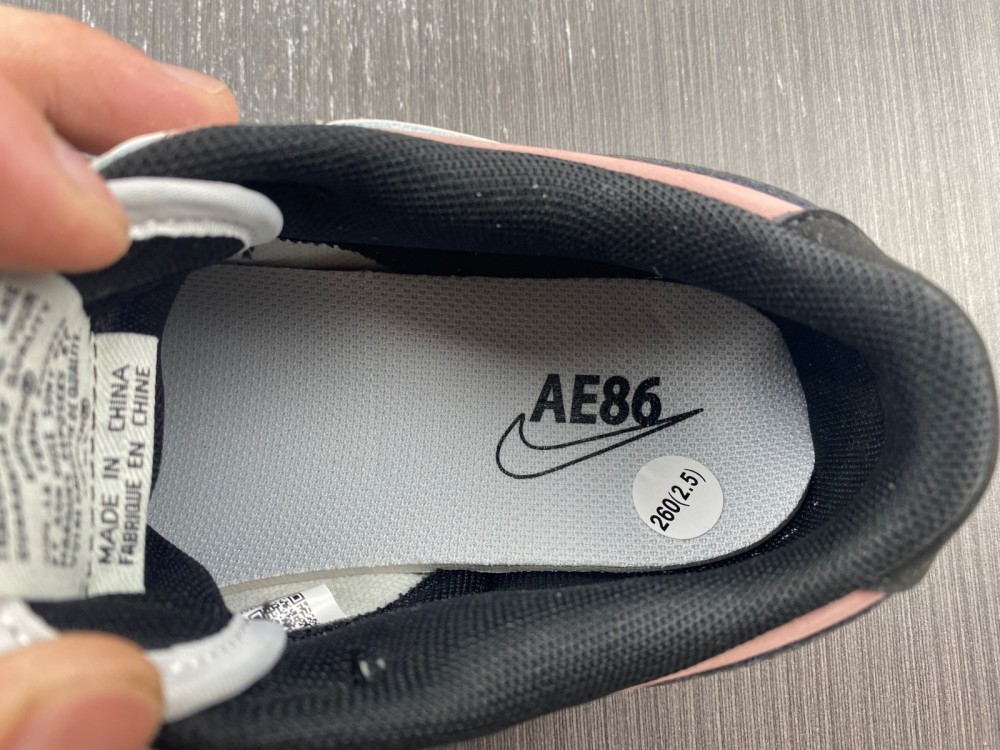 from Nike SB Dunk Low AE86 DD1391-107