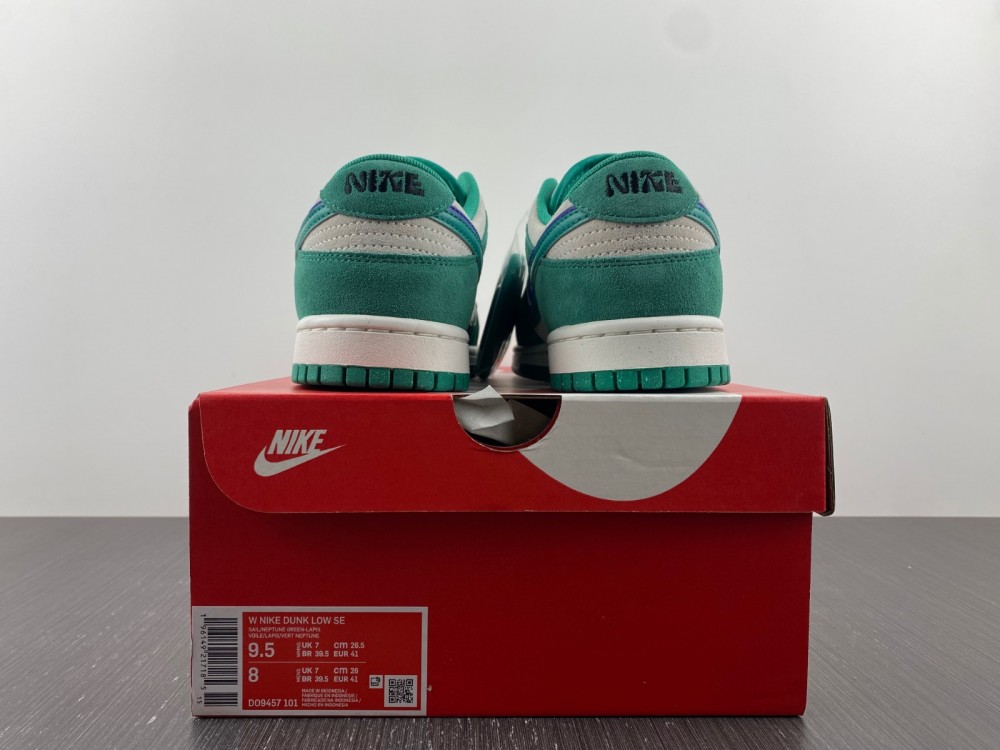 from Nike SB Dunk Low DO9457-101