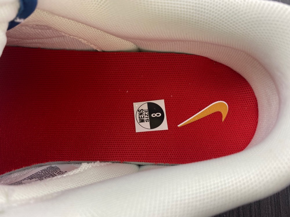 from Nike SB DUNK LOW DX3198-133