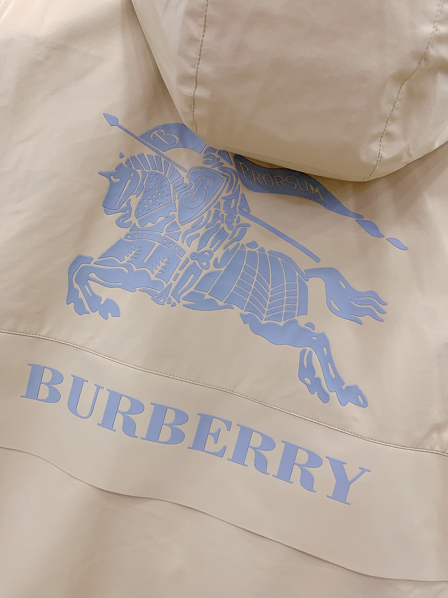 Men Down jacket Top Quality