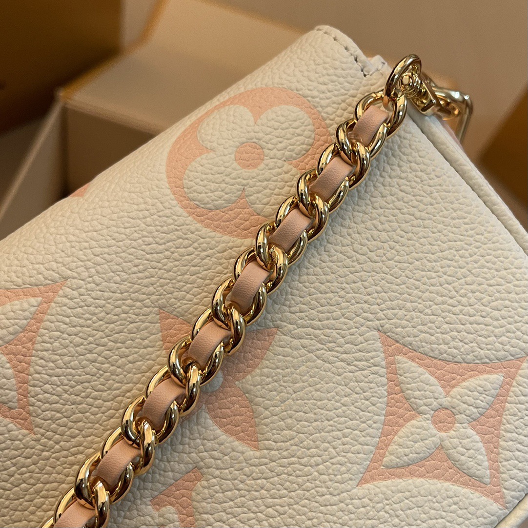 L*ouis V*uitton Top Bag