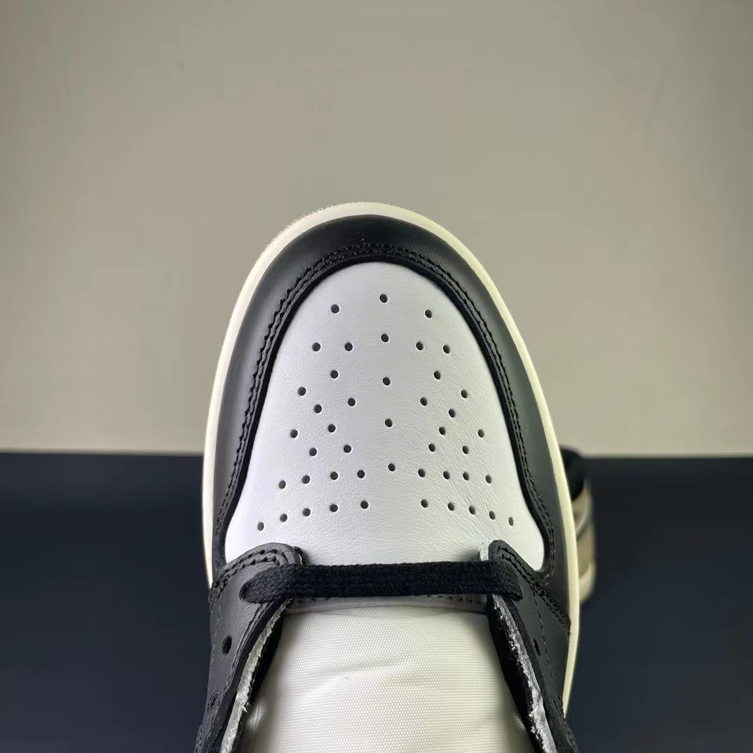 Air Jordan 1 sneaker